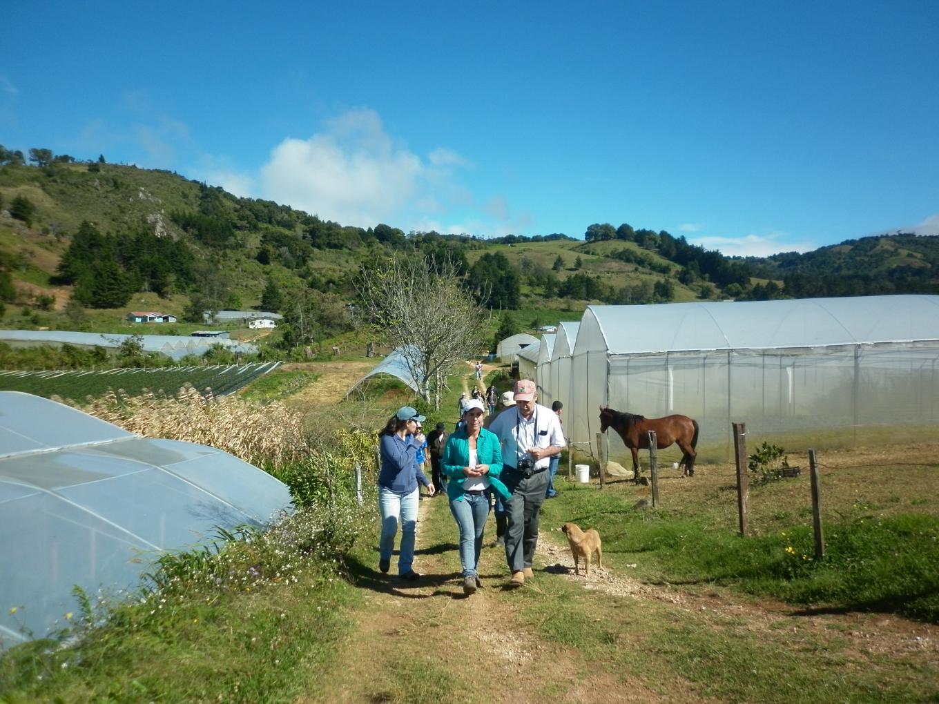 Internacional IICA Lanza Concurso De Experiencias De Agrobioturismo En