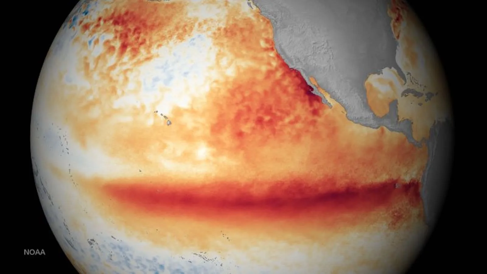 Explicación: Por qué un fenómeno de El Niño extremo deja a las materias primas tropicales gravemente expuestas.