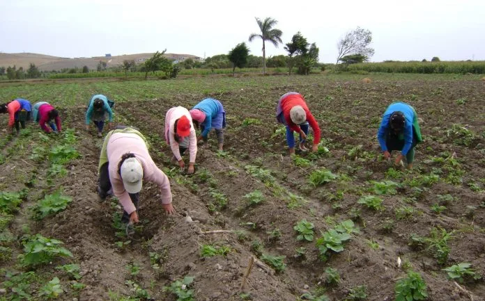 Gobierno impulsa recambio generacional en el agro desde aulas