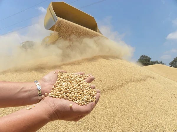 Soya entre tensiones comerciales y riesgo climático