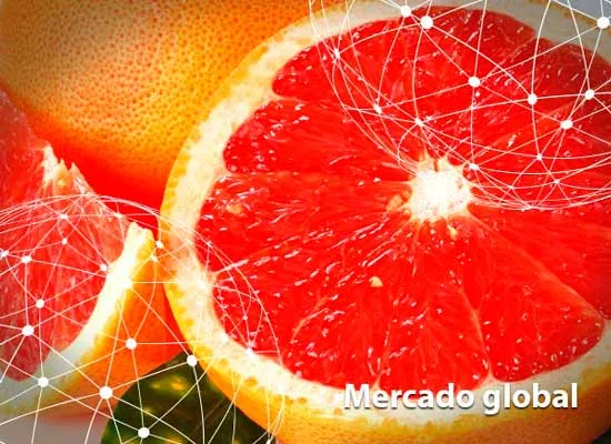 Resumen del mercado global del pomelo
