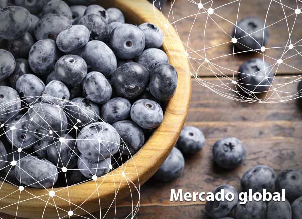 Resumen del mercado global del arándano