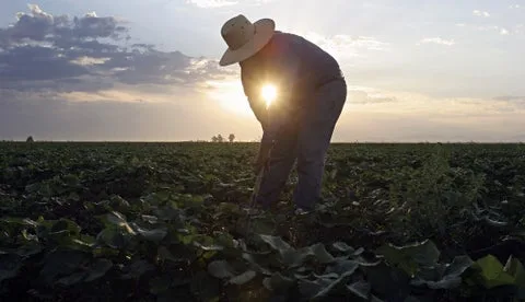 ECUADOR: Ejecutivo lanza plan agropecuario 2025–2034
