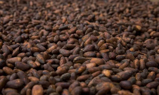 Cacao supera los $3.250 por tonelada impulsado por tensiones geopolíticas