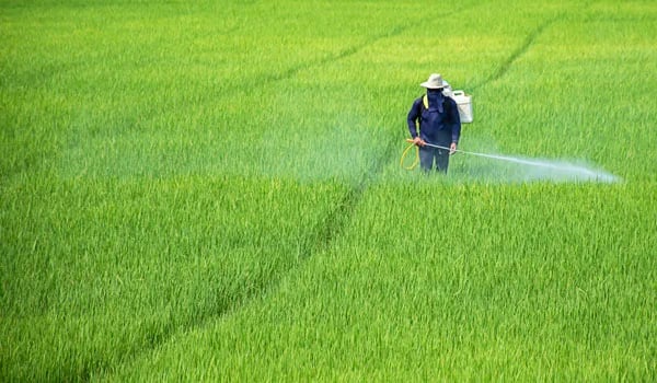 La UE aprueba medidas de apoyo a los agricultores por el alza de los fertilizantes