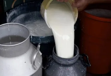 ECUADOR: Retiran 150 litros de leche en operativo interinstitucional