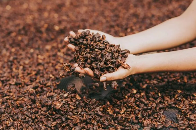 ECUADOR: Diseñan diplomado para fortalecer el comercio justo en el agro
