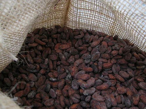 Cacao cae y busca soporte en $3.100 por presión del dólar y oferta africana