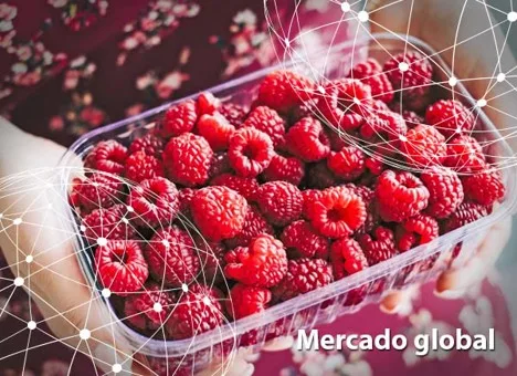 Resumen del mercado global de la frambuesa