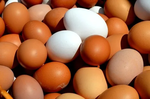 ESPAÑA: Los huevos siguen liderando el encarecimiento de la cesta, que sube casi un 2 % anual