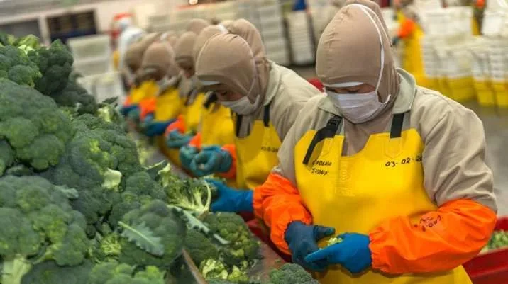 Ministra de la producción busca respaldo para la aprobación de la LEY IDEA