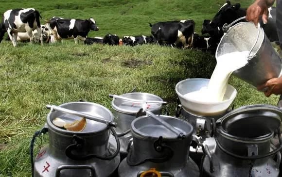 La industria láctea de América Latina define su hoja de ruta en Colombia