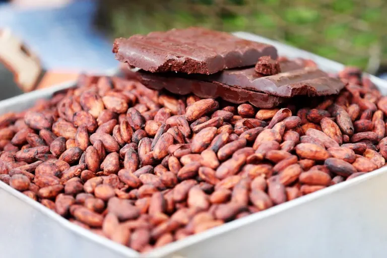 Riesgos climáticos y menor oferta impulsan al alza el cacao
