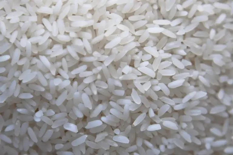 El arroz toca mínimos de un mes ante expectativas de mayor oferta global, según Trading Economics