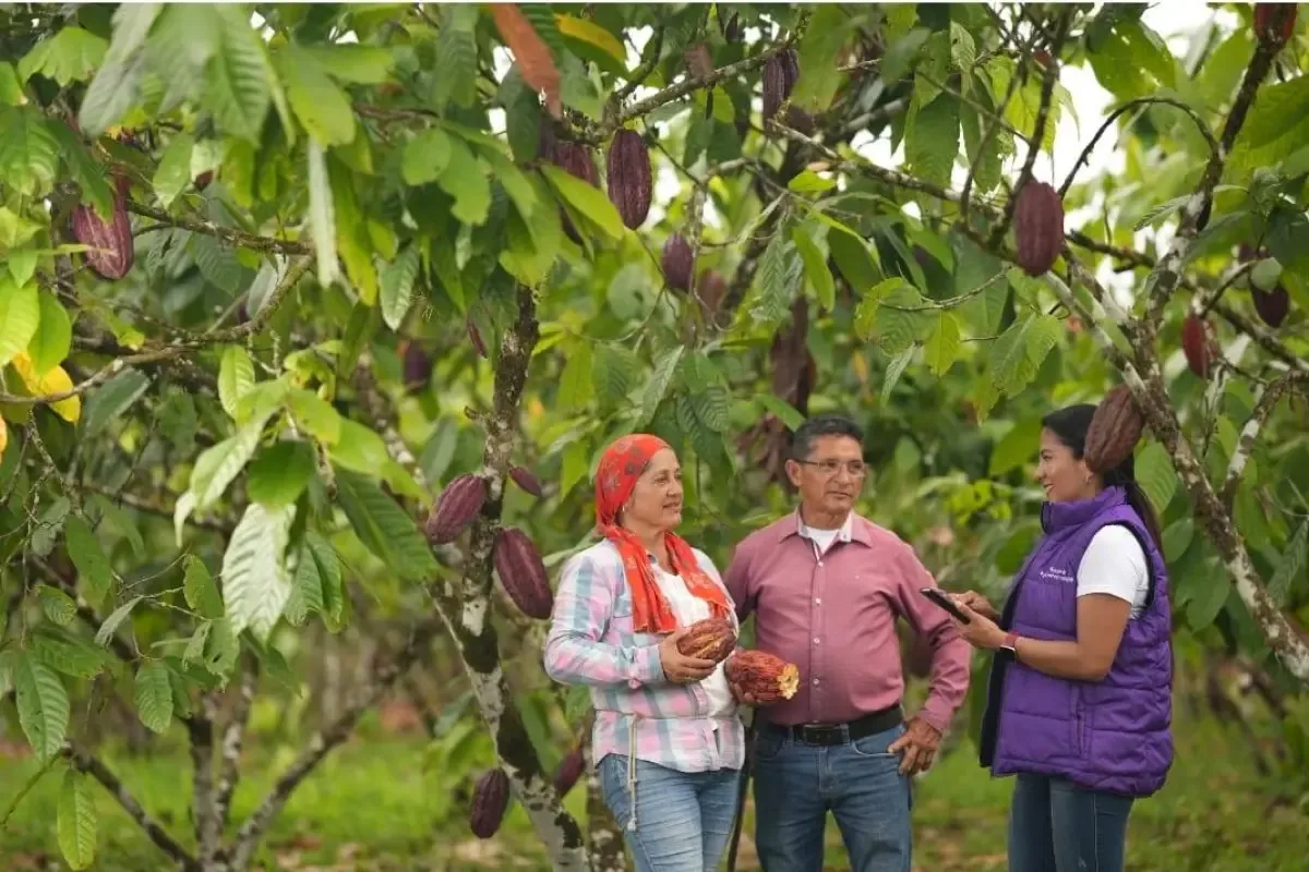 ECUADOR: Instituciones coordinan información del agro