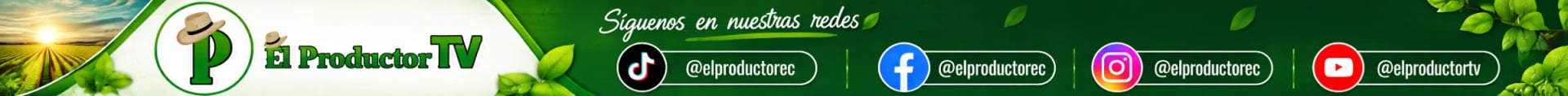 Publicidad · AGROEXPO 2026