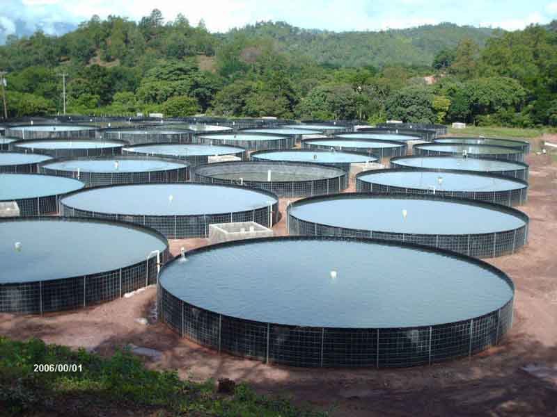 Hacia fuera Charles Keasing vacío Colombia: AUNAP destaca ventajas del uso de los tanques de geomembrana para  la Acuicultura | Noticias Agropecuarias