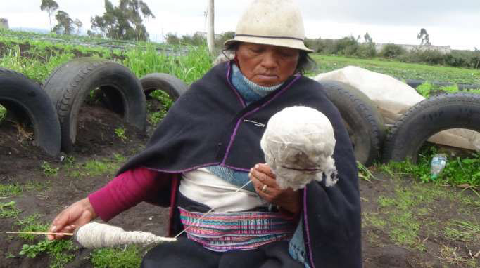 menú Colectivo Consistente El hilado, una herencia ancestral que se mantiene en Angahuana Alto |  Noticias Agropecuarias