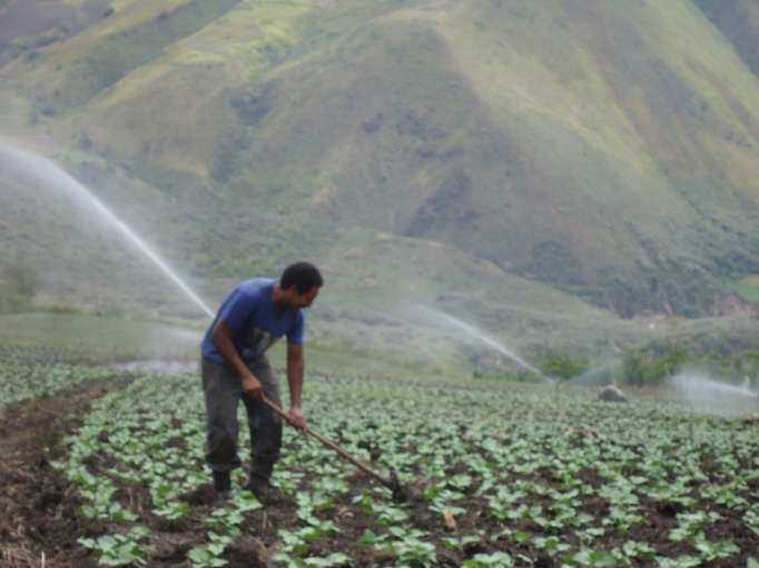 Pelágico Sembrar Microbio Sistema de riego y captación de agua para la producción agrícola | Noticias  Agropecuarias