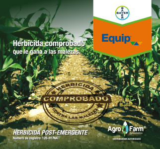 EQUIP WEB 322 X 300 PX