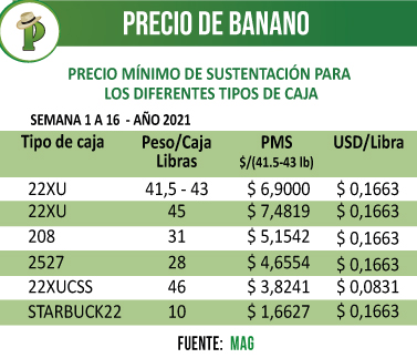 banana-2021a
