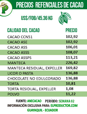 cacao-02-2021