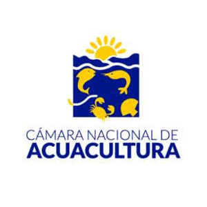 cna