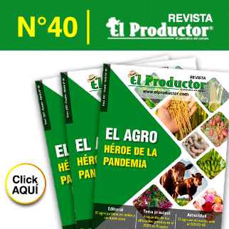revista_web40_enero2021