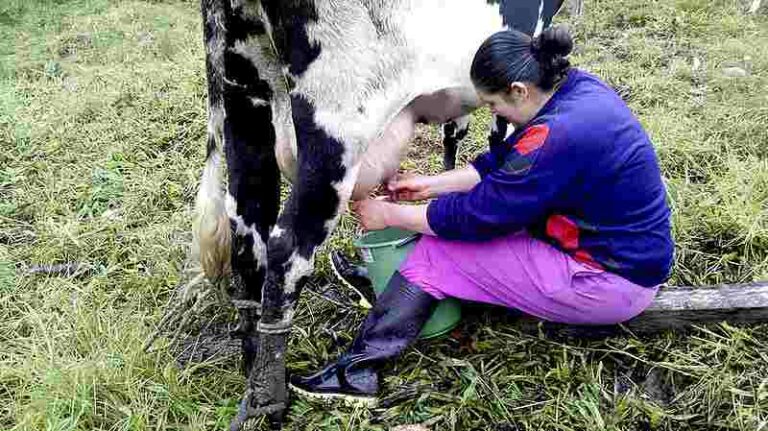 ECUADOR: Nueva ley fortalece el emprendimiento femenino en el sector agrícola