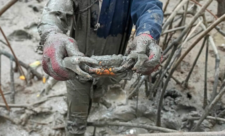 Ministerio de Producción refuerza controles para preservar recurso en la primera Veda de cangrejo del 2024