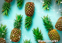 Resumen del mercado global de la piña