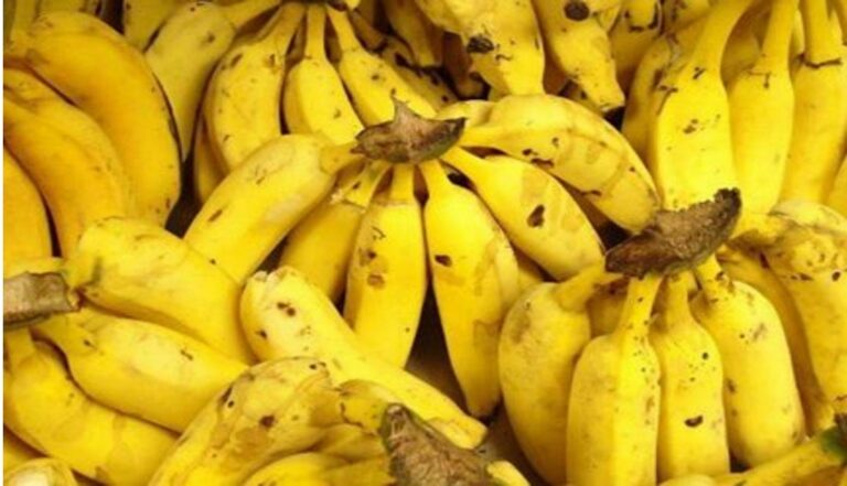 Descubren  todas las propiedades de la cáscara de banano y plátano