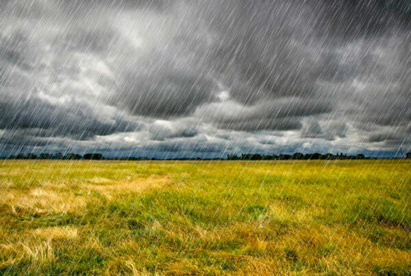 ESPAÑA: Las lluvias dañan los cultivos agrícolas y ponen en riesgo las nuevas campañas