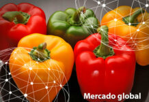 Resumen del mercado global del pimiento