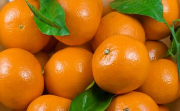 Resumen del mercado global de las mandarinas