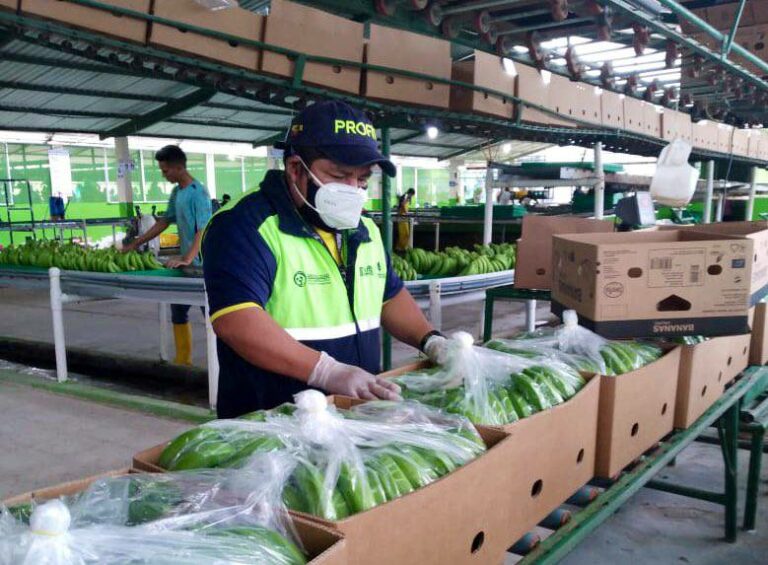 COLOMBIA: Riguroso examen de los gremios agropecuarios al ICA sobre el control sanitario del país