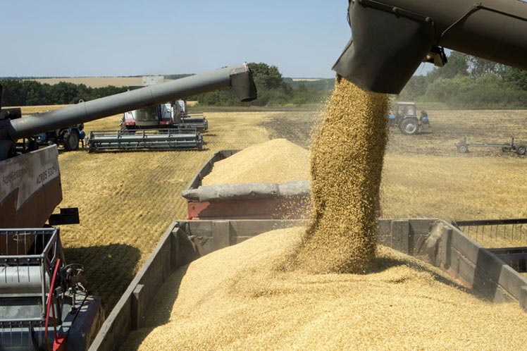 Colombia importó en 2024 cerca de 12 millones de toneladas de cereales, leguminosas y soya