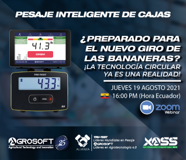 364X313BANNERWEB