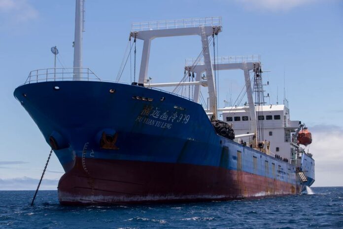 barco chino