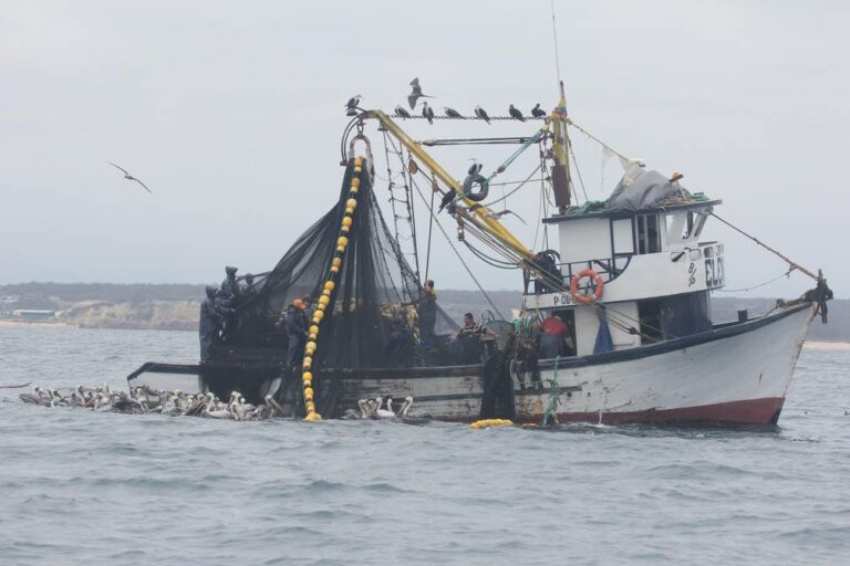 ECUADOR: Reforma legal busca clasificar al sector acuícola