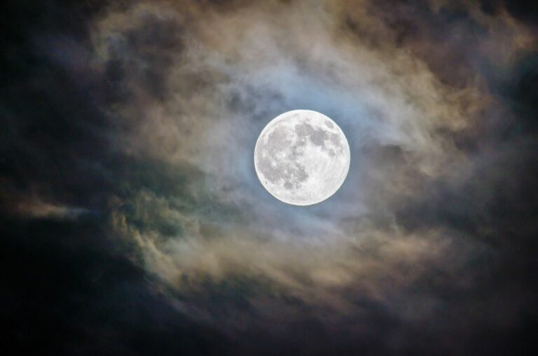 La Influencia del Calendario Lunar en el Sector Agropecuario: Ciencia y Tradición de la Mano