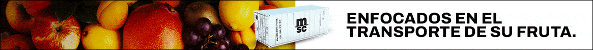 msc-septiembre2021