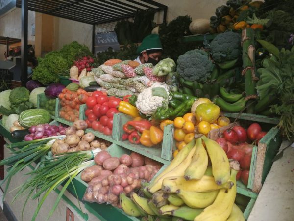 Vegetables and fruits of Ecuador