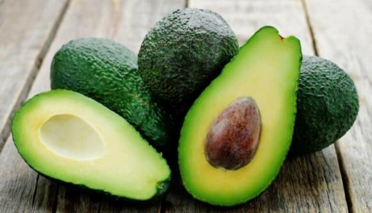 Aguacate, guayusa, guanábana y quinua, las apuestas de Ecuador para el mercado europeo