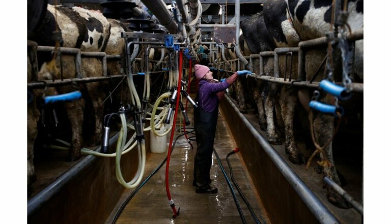 La Unión Europea perdió un 17 % de mano de obra agrícola en una década