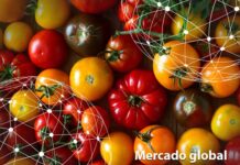 Resumen del mercado global del tomate