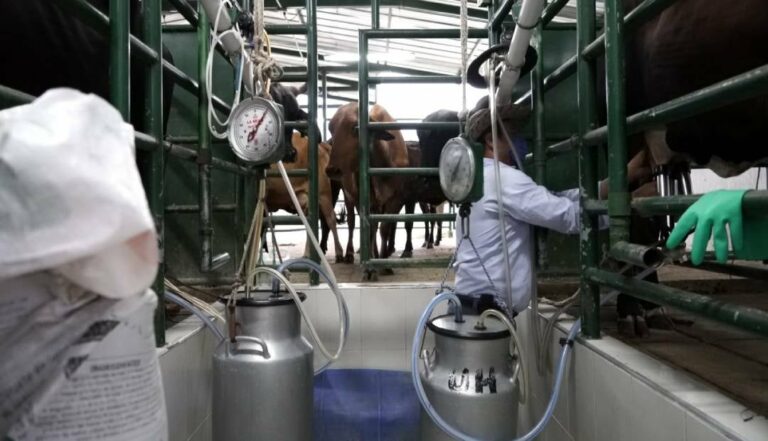 CFN asegura más de USD 221 millones para créditos y garantías de PYMES