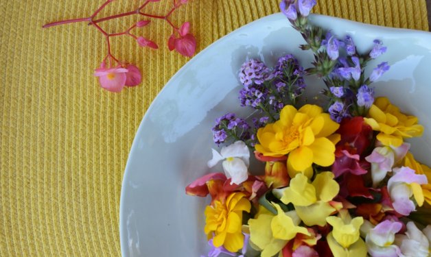 Flores comestibles, un negocio con futuro impulsado por la restauración |  Noticias Agropecuarias