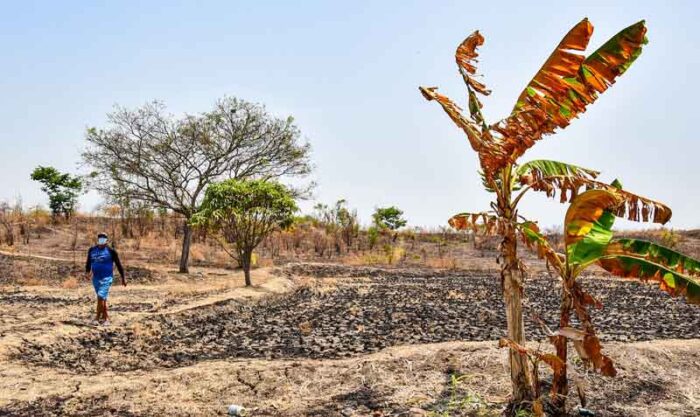 BRASIL: Diálogos para el Clima reúne a expertos el  16 de septiembre