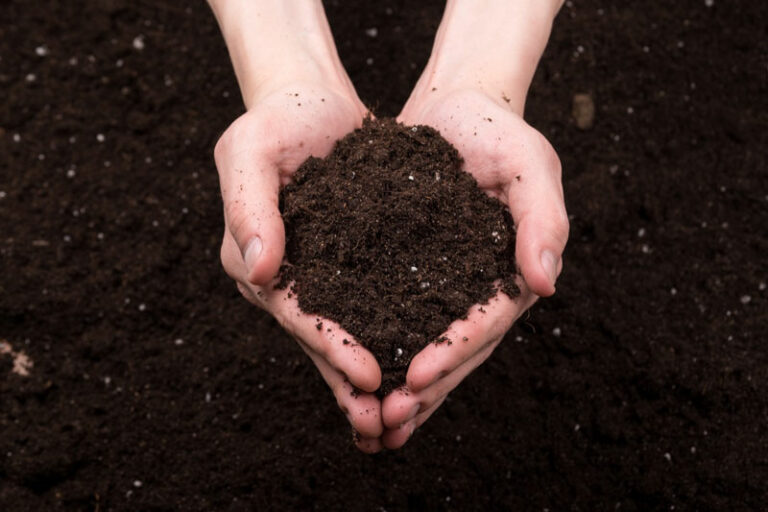 Los investigadores hacen un descubrimiento después de estudiar las tierras de cultivo tratadas con fertilizantes orgánicos durante años: “Esta es la primera evidencia directa”